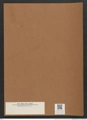 Rhaphoneis sp. (de-Toni-Nr.: Genus 78) Zeichnungen Sammlung Grunow Mappe 03016 (Herbarium_W_Grunow_drawings_Folder_03016)